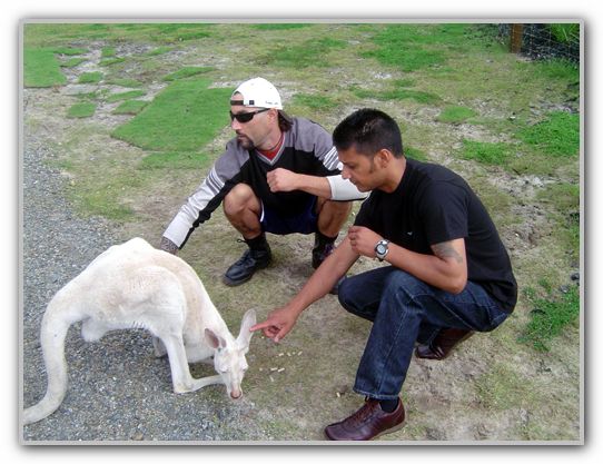 FJ & Stevo with white Roo 1